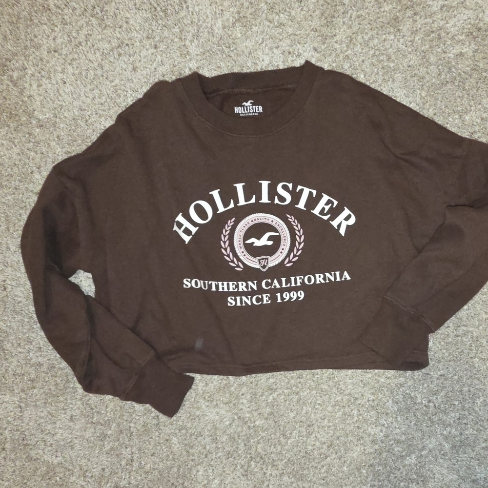 Hollister Brown Logo Sweatshirt